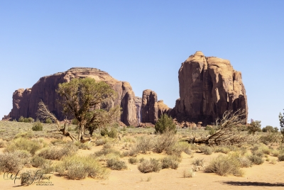 Monument Valley TP June 2025